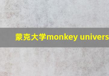 蒙克大学monkey university